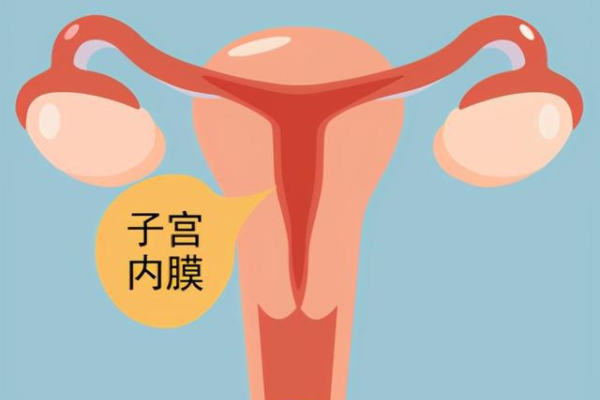 武汉正规代生中心价格 武汉私人医院做试管选男孩多少钱? ‘孕妇胎囊形状看男